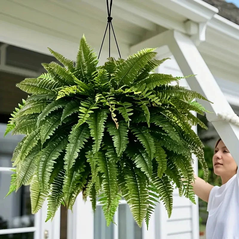 Artificial Boston Fern (Set of 2)