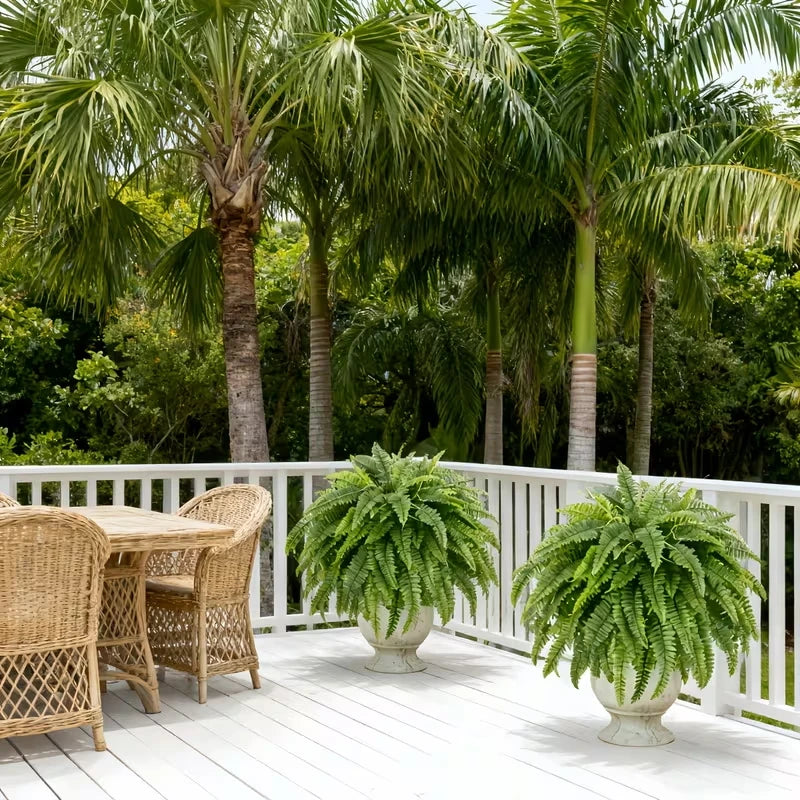 Artificial Boston Fern (Set of 2)