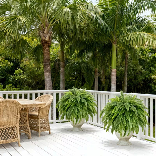 Artificial Boston Fern (Set of 2)